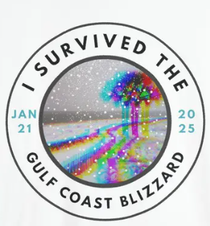 I Survived the Gulf Coast Blizzard 2025 DTF Prints